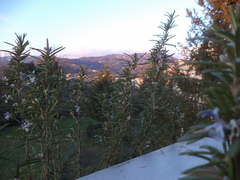 Apartment Montecatini-Terme Near Firenze, Lucca, Pisa Стая снимка